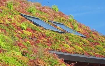 Ackenthwaite living roof systems