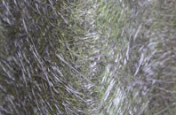 Ackenthwaite fibreglass roof work